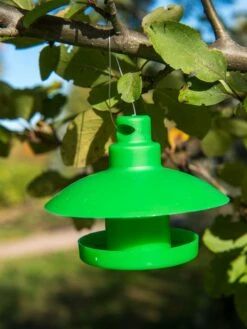 Slug And Snail Traps, Set Of 3 -The Garden Shop 8600120 1792