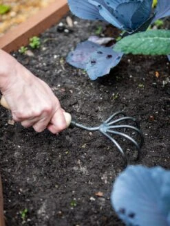 Gardener’s Lifetime 5-Tine Cultivator With Short Handle 4 Gardener’s Lifetime 5-Tine Cultivator With Short Handle -The Garden Shop 8600305 2974