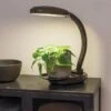 Agrobrite Desktop LED Plant Lamp