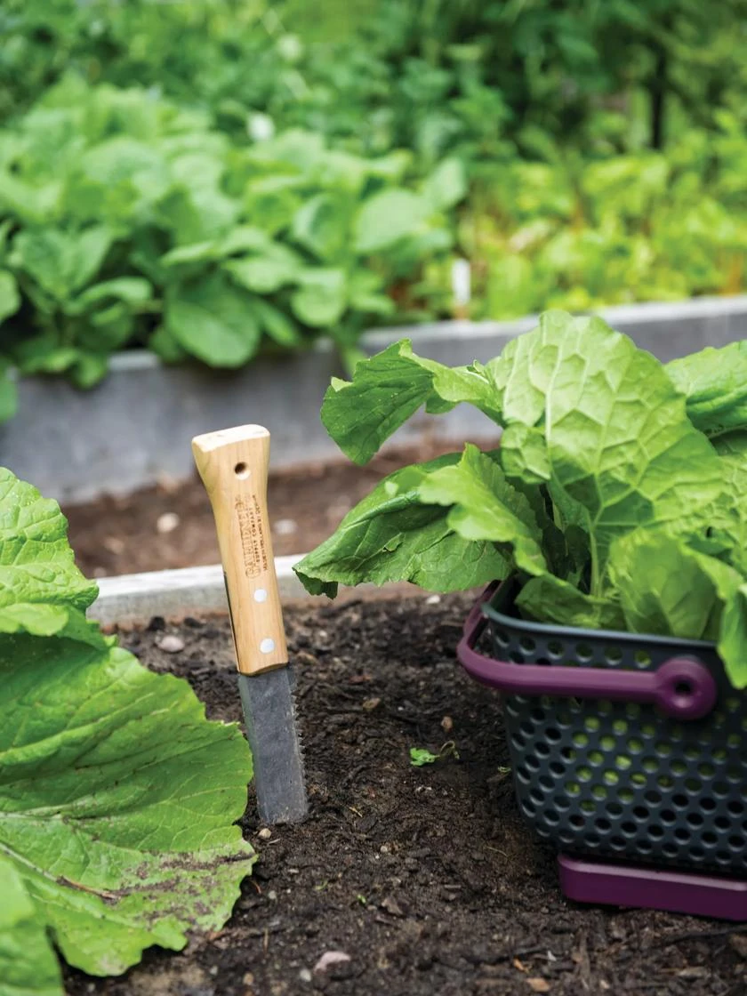 Gardener's Lifetime Hori Hori Knife 1 Gardener's Lifetime Hori Hori Knife