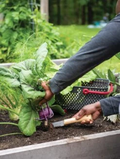 Gardener's Lifetime Hori Hori Knife 7 Gardener's Lifetime Hori Hori Knife -The Garden Shop 8608888 0422 tif