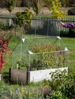 Chicken Wire Crop Coop 19 Chicken Wire Crop Coop -The Garden Shop 8609080 4024
