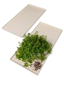 Oslo Grow Light Garden Trays, Set Of 2 -The Garden Shop 8609187 7686 tif