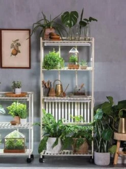 Oslo 4-Tier LED Grow Light Garden -The Garden Shop 8609188 4118 tif