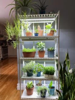 Oslo 4-Tier LED Grow Light Garden -The Garden Shop 8609220 03IN tif