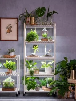 Oslo 4-Tier LED Grow Light Garden -The Garden Shop 8609220 4116 tif