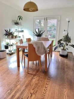 Oslo 2-Tier LED Grow Light Garden, 2 Fixtures -The Garden Shop 8609221 01IN tif