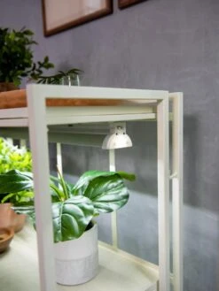 Oslo 2-Tier LED Grow Light Garden, 2 Fixtures -The Garden Shop 8609221 4101 tif