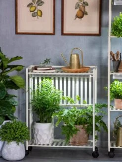 Oslo 2-Tier LED Grow Light Garden, 2 Fixtures -The Garden Shop 8609221 7236 tif