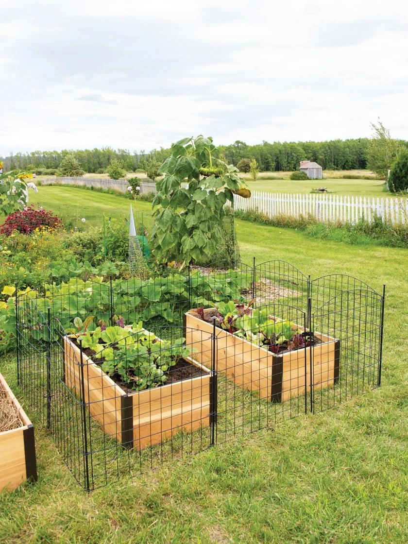 6 Panel Critter Fence With Gate 6 6 Panel Critter Fence With Gate - Image 6