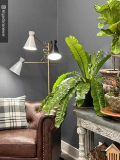 Adjustable 3-Arm Grow Lamp 13 Adjustable 3-Arm Grow Lamp -The Garden Shop 8609868 01IN tif