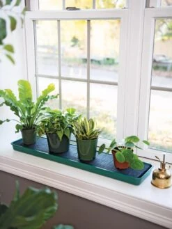 Self-Watering Windowsill Tray -The Garden Shop 8609873 9011 tif