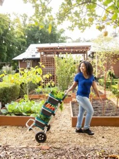 Mod Hod Trolley With Teal Mod Hods -The Garden Shop 8610240 0070 tif