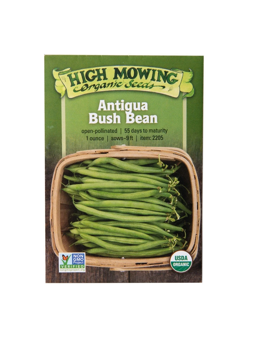 Antigua Bush Bean Organic Seeds 1 Antigua Bush Bean Organic Seeds