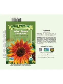 Velvet Queen Sunflower Organic Seeds 5 Velvet Queen Sunflower Organic Seeds -The Garden Shop 8610362 01v