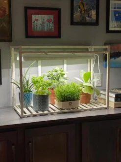 Oslo 1-Tier LED Grow Light Garden 12 Oslo 1-Tier LED Grow Light Garden -The Garden Shop 8611002 01IN tif