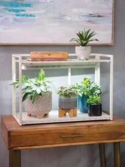 The Garden Shop -The Garden Shop 8611002 2000 tif