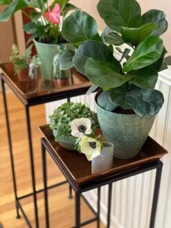 Square Nesting Plant Stands With Trays, Set Of 2 8 Square Nesting Plant Stands With Trays, Set Of 2 -The Garden Shop 8611014 3651 tif