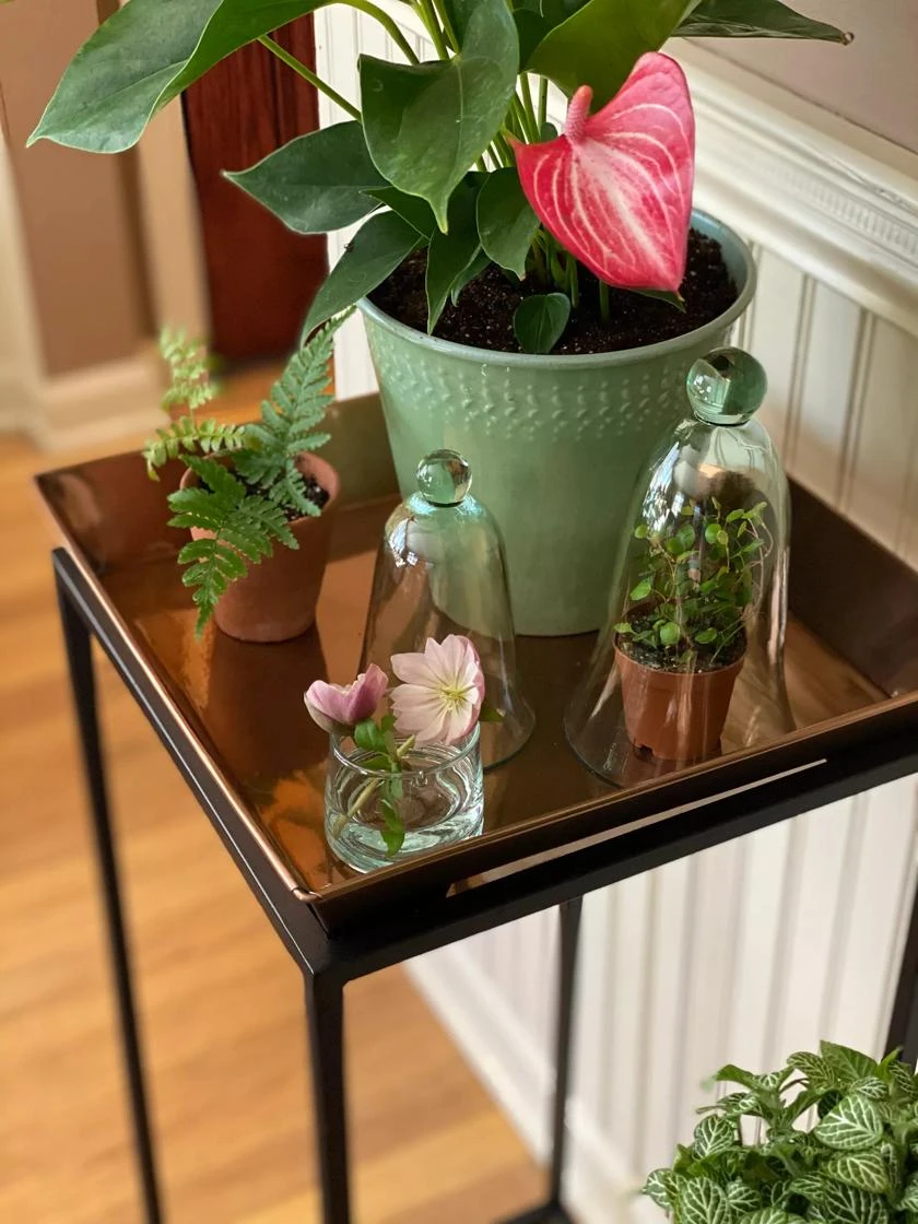 Square Nesting Plant Stands With Trays, Set Of 2 2 Square Nesting Plant Stands With Trays, Set Of 2 - Image 2