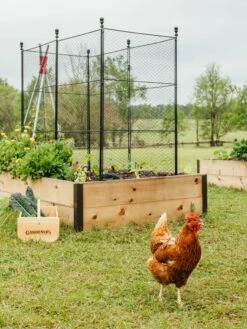 Tall Chicken Wire Critter Fence With Gate -The Garden Shop 8611020 316 tif