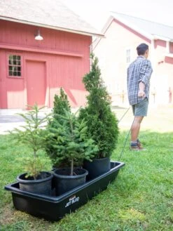 The Garden Shop -The Garden Shop 8611044 237 tif