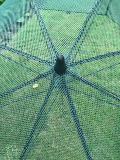 GardenSkill Pop N Crop Plant Umbrella -The Garden Shop 8611105 07V tif