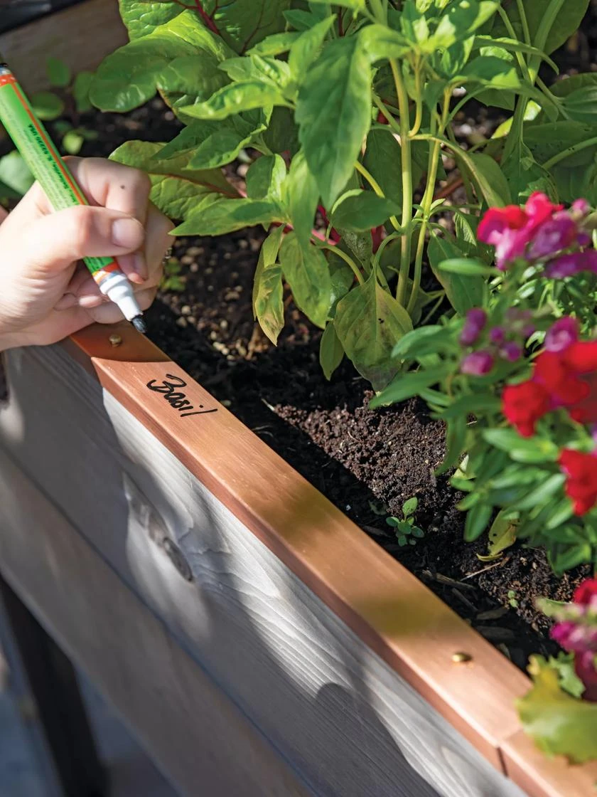 Re-Markable Raised Bed Trim 1 Re-Markable Raised Bed Trim