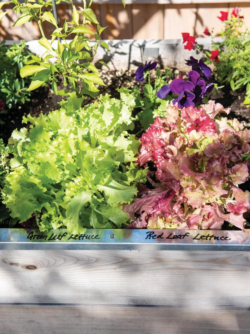 Re-Markable Raised Bed Trim 4 Re-Markable Raised Bed Trim - Image 4