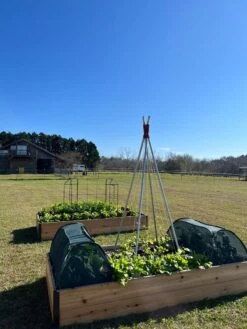 Insect And Pest Net Row Protector -The Garden Shop 8611985 04 tif