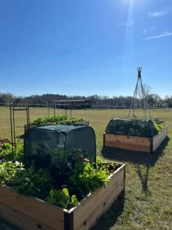 Pest Control Pop-Ups 13 Pest Control Pop-Ups -The Garden Shop 8611989 05 tif