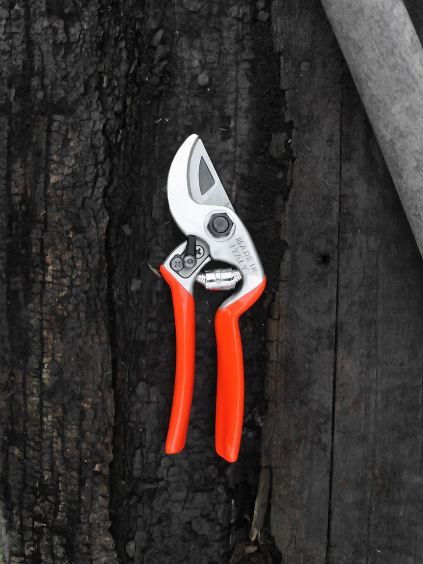 Castellari Mini Anvil Pruner 2 Castellari Mini Anvil Pruner - Image 2