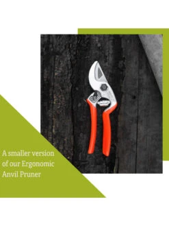 Castellari Mini Anvil Pruner 12 Castellari Mini Anvil Pruner -The Garden Shop 8612199 4