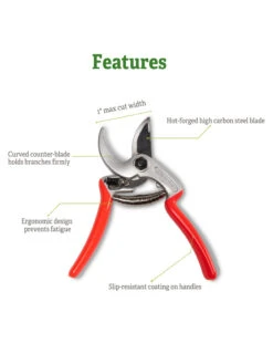 Castellari Mini Anvil Pruner 10 Castellari Mini Anvil Pruner -The Garden Shop 8612199 5