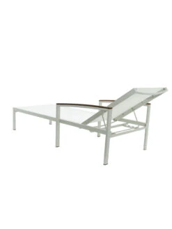 Braylee Reclining Chaise Lounge -The Garden Shop 8612262 06v