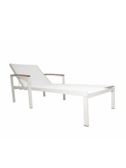 Braylee Reclining Chaise Lounge -The Garden Shop 8612262 07v