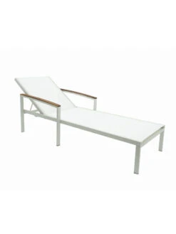 Braylee Reclining Chaise Lounge -The Garden Shop 8612262 08v