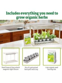 Tabletop Grow Kit 13 Tabletop Grow Kit -The Garden Shop 8612507 6