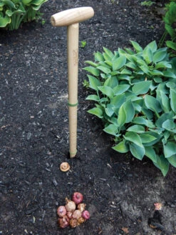 Wicked Big Dibber 8 Wicked Big Dibber -The Garden Shop 8612667 0028