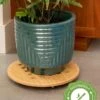 Bamboo Plant Caddy Round, 15.75"