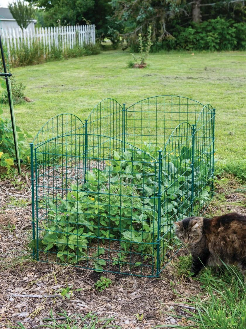 6 Panel Critter Fence With Gate 4 6 Panel Critter Fence With Gate - Image 4