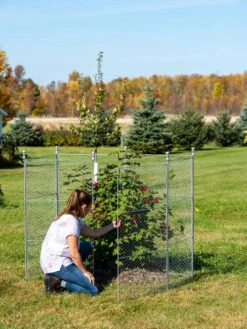 Tall Chicken Wire Critter Fence With Gate -The Garden Shop 8613260 0044