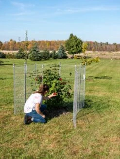 Tall Chicken Wire Critter Fence Extension Panel, Set Of 2 -The Garden Shop 8613260 0090