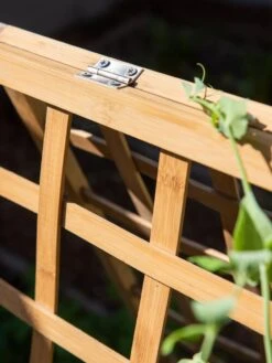 Bambo A Frame Plant Support, 30" X 42.5" 13 Bambo A Frame Plant Support, 30" X 42.5" -The Garden Shop 8613310 6525