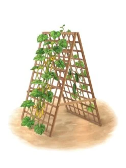 Bambo A Frame Plant Support, 30" X 42.5" 14 Bambo A Frame Plant Support, 30" X 42.5" -The Garden Shop 8613310 art flat