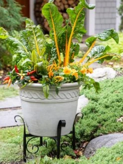 Covington Adjustable Plant Stands -The Garden Shop 8613347 0113
