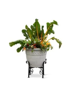 Covington Adjustable Plant Stands -The Garden Shop 8613347 0119