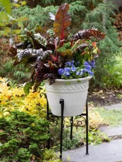 Covington Adjustable Plant Stands -The Garden Shop 8613348 0114