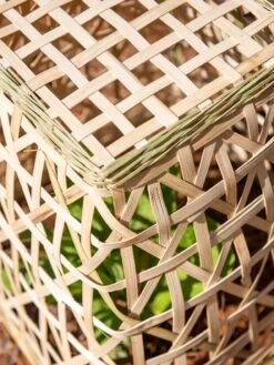 Bamboo Cloche, Set Of 2 -The Garden Shop 8613351 0154