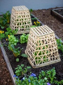 Bamboo Cloche, Set Of 2 -The Garden Shop 8613351 6766