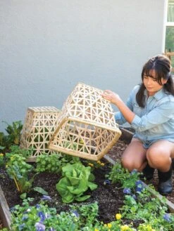 Bamboo Cloche, Set Of 2 -The Garden Shop 8613351 6862